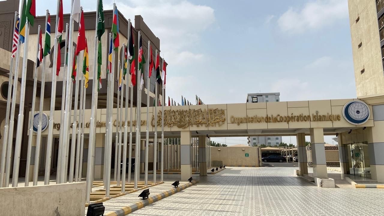 রোহিঙ্গাদের নিয়ে ওআইসির বিবৃতি, যা বলল